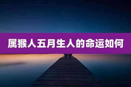 属猴人五月生人的命运如何