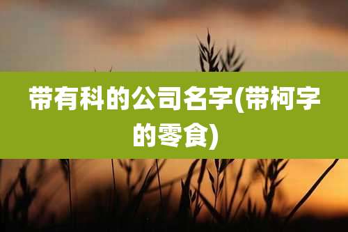 带有科的公司名字(带柯字的零食)