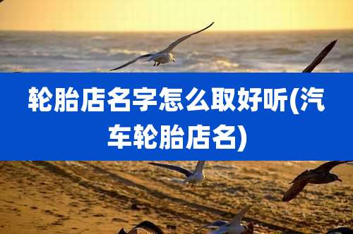 轮胎店名字怎么取好听(汽车轮胎店名)
