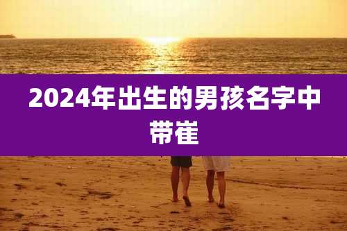 2024年出生的男孩名字中带崔