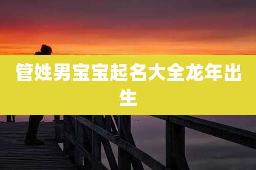 管姓男宝宝起名大全龙年出生