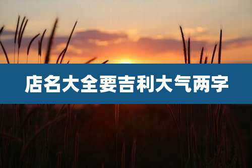 店名大全要吉利大气两字