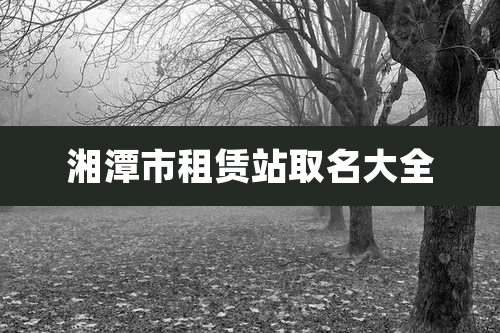 湘潭市租赁站取名大全