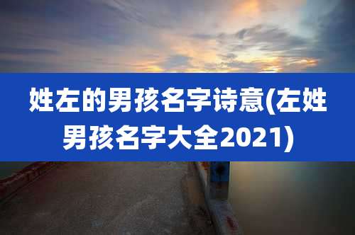 姓左的男孩名字诗意(左姓男孩名字大全2021)