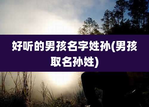 好听的男孩名字姓孙(男孩取名孙姓)