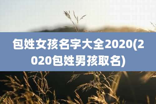 包姓女孩名字大全2020(2020包姓男孩取名)