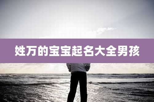 姓万的宝宝起名大全男孩