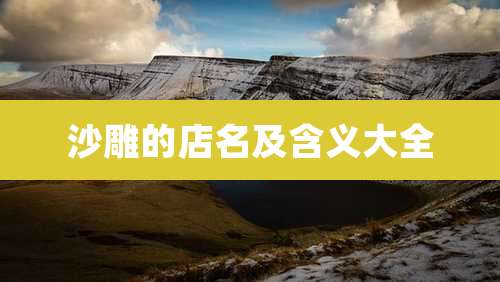 沙雕的店名及含义大全