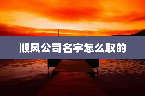 顺风公司名字怎么取的