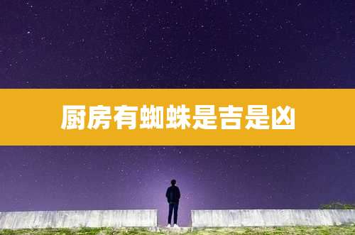 厨房有蜘蛛是吉是凶