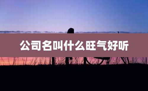 公司名叫什么旺气好听