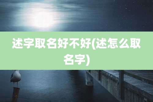 述字取名好不好(述怎么取名字)