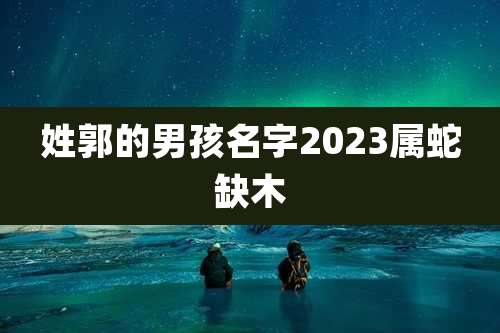 姓郭的男孩名字2023属蛇缺木