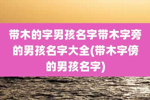 带木的字男孩名字带木字旁的男孩名字大全(带木字傍的男孩名字)
