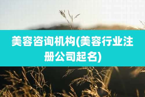 美容咨询机构(美容行业注册公司起名)