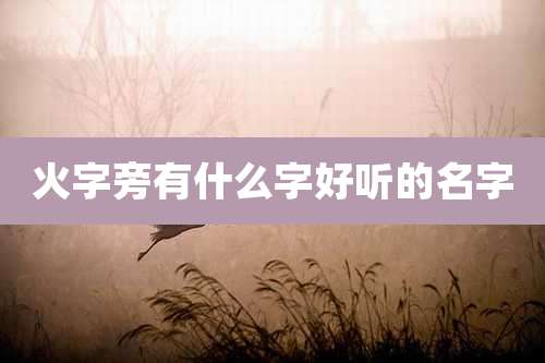 火字旁有什么字好听的名字