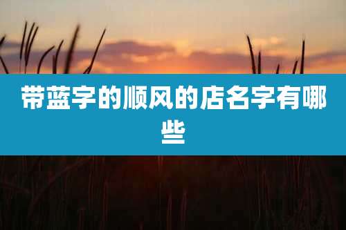 带蓝字的顺风的店名字有哪些