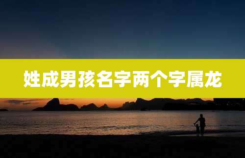 姓成男孩名字两个字属龙