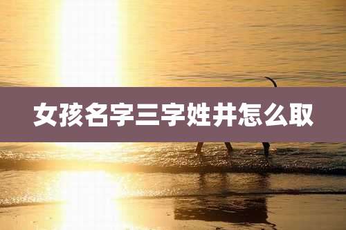 女孩名字三字姓井怎么取