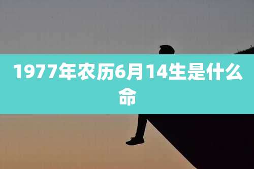 1977年农历6月14生是什么命