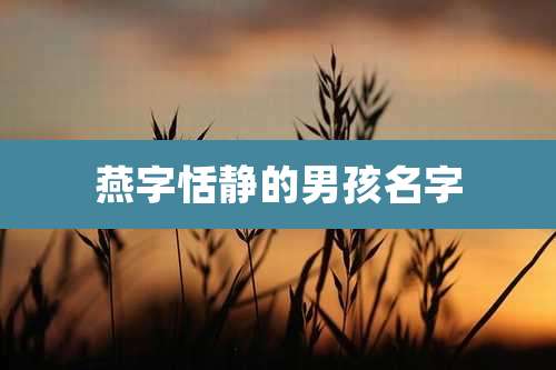 燕字恬静的男孩名字