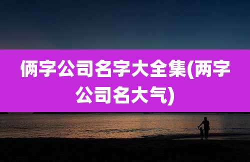 俩字公司名字大全集(两字公司名大气)