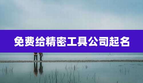 免费给精密工具公司起名