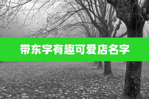 带东字有趣可爱店名字