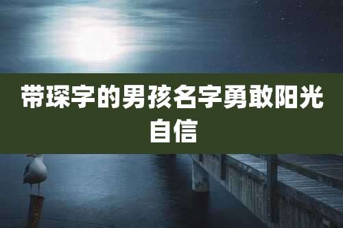 带琛字的男孩名字勇敢阳光自信