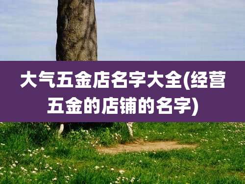 大气五金店名字大全(经营五金的店铺的名字)