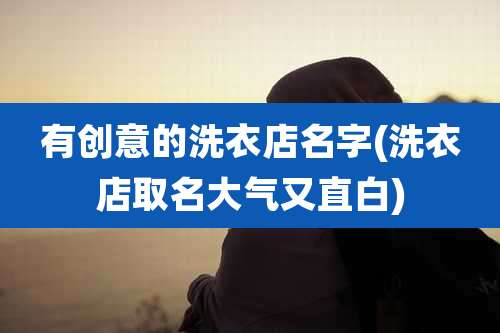 有创意的洗衣店名字(洗衣店取名大气又直白)