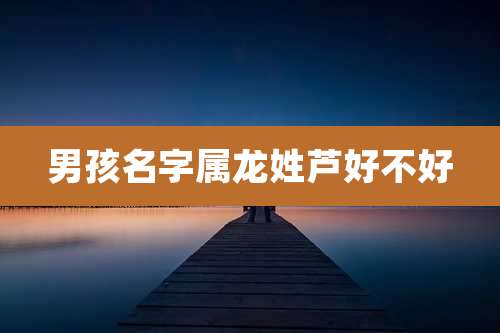 男孩名字属龙姓芦好不好