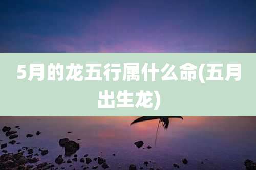 5月的龙五行属什么命(五月出生龙)