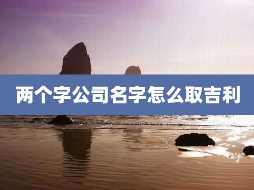 两个字公司名字怎么取吉利