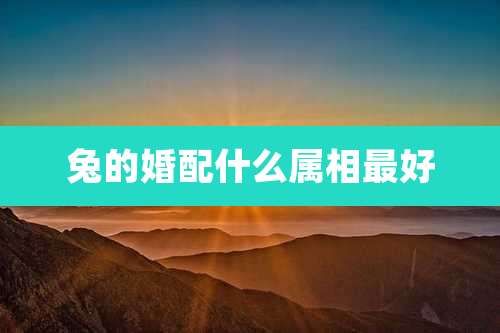 兔的婚配什么属相最好