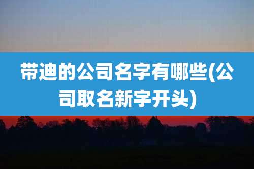 带迪的公司名字有哪些(公司取名新字开头)