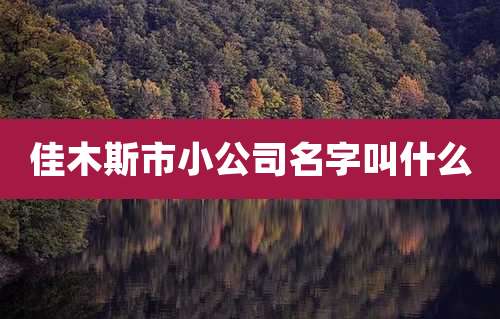 佳木斯市小公司名字叫什么