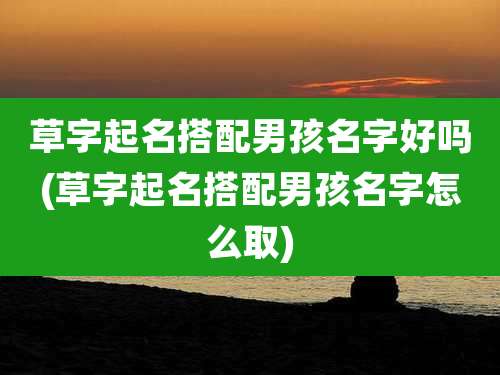 草字起名搭配男孩名字好吗(草字起名搭配男孩名字怎么取)