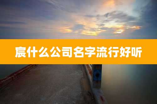 宸什么公司名字流行好听