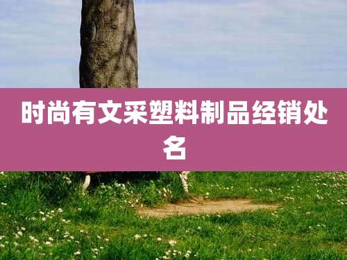 时尚有文采塑料制品经销处名