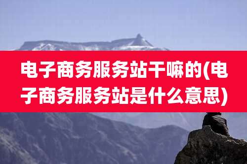 电子商务服务站干嘛的(电子商务服务站是什么意思)