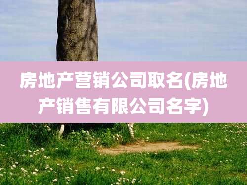 房地产营销公司取名(房地产销售有限公司名字)