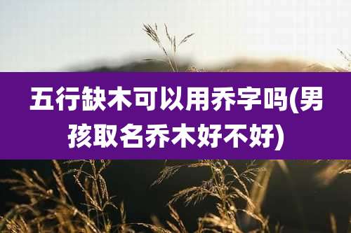 五行缺木可以用乔字吗(男孩取名乔木好不好)