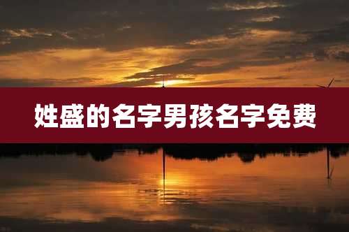 姓盛的名字男孩名字免费