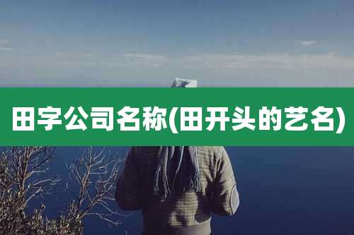 田字公司名称(田开头的艺名)