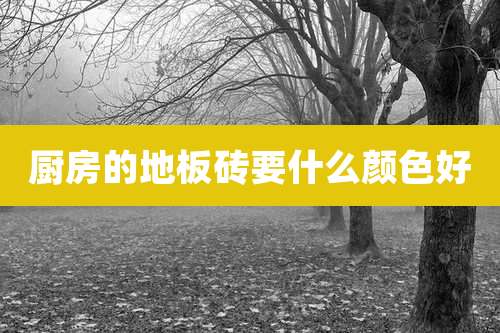 厨房的地板砖要什么颜色好