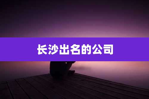 长沙出名的公司