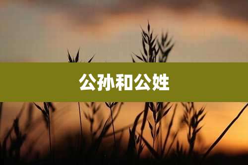 公孙和公姓