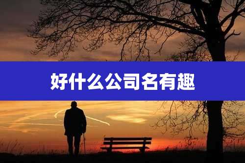 好什么公司名有趣