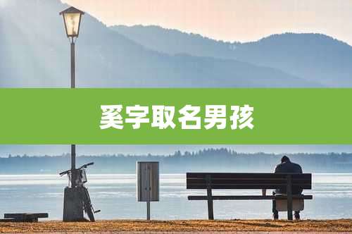 奚字取名男孩